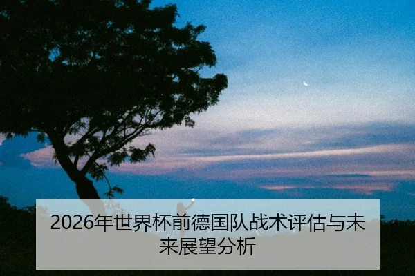 nian-shi-jie-bei-qian-de-guo-dui-zhan-shu-ping-gu-yu-wei-lai-zhan-wang-fen-xi-2-139.jpg