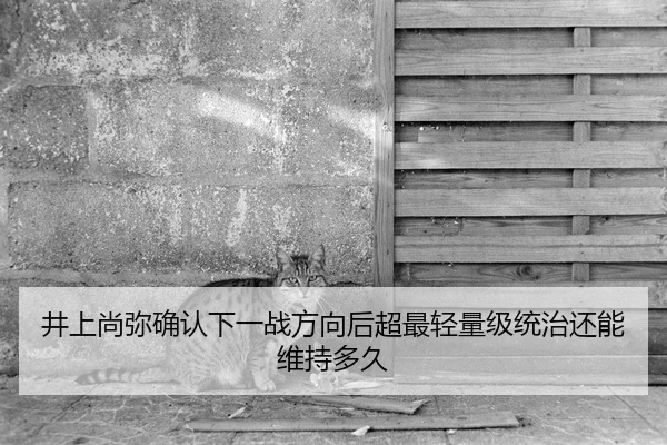 井上尚弥确认下一战方向后超最轻量级统治还能维持多久