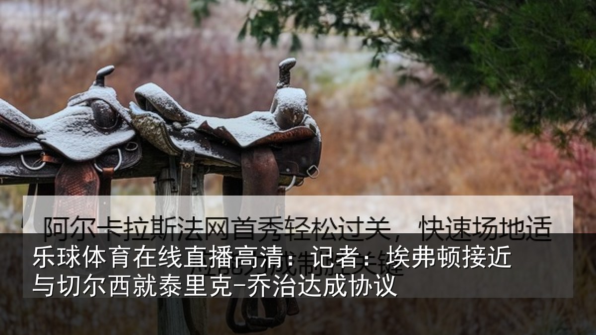 乐球体育在线直播高清：记者：埃弗顿接近与切尔西就泰里克-乔治达成协议