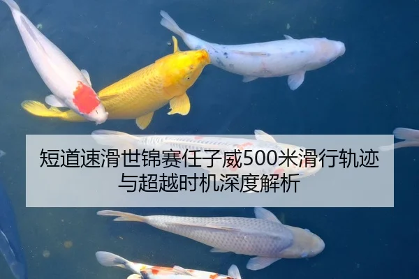 短道速滑世锦赛任子威500米滑行轨迹与超越时机深度解析